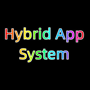 Hybrid App System