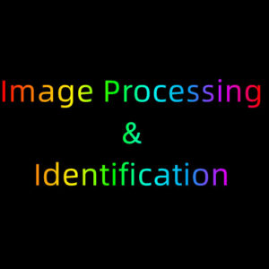 Image processing identification